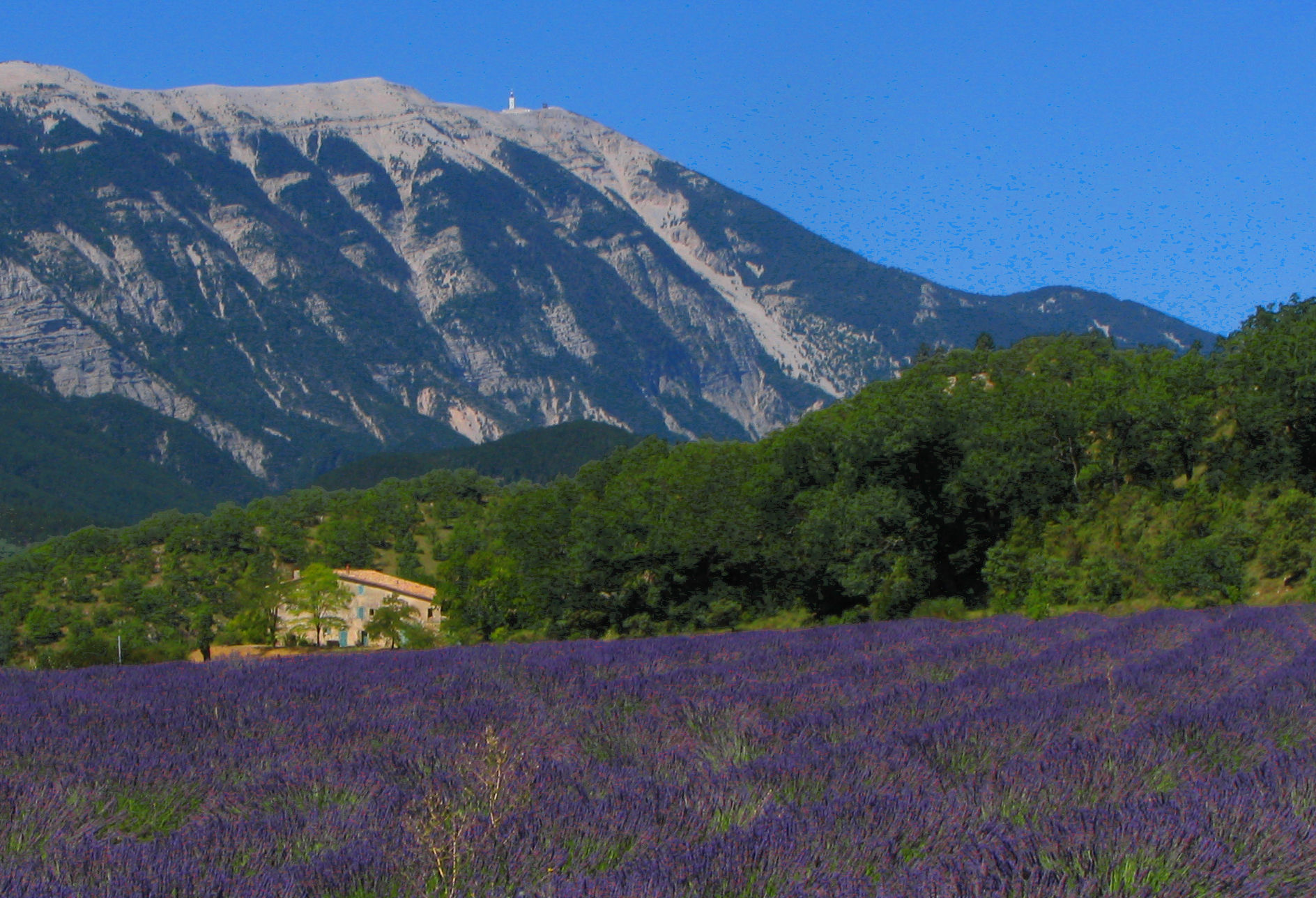photo du Mont Ventoux